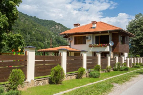 Отель Guest House Vitora  Рибарица